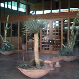 photo of Sunburst Resort entrance